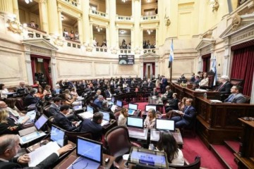 Foto de Senado: el Gobierno ingresaría un proyecto para eliminar las PASO e incorporía Ficha Limpia