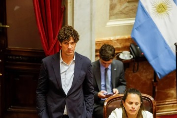 Foto de La UCR define al sucesor de Martín Lousteau