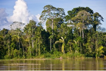 Foto de Deforestación en la Amazonia brasileña cayó al nivel más bajo desde 2019