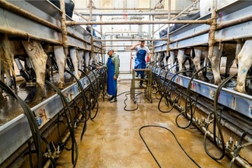 Foto de Línea crediticia para productores lecheros: La Pampa lanzó préstamos de hasta $200 millones