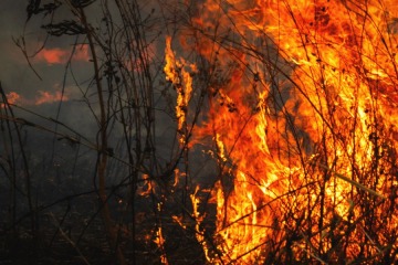 Foto de Incendios en Europa crecieron 57% desde 2022, alerta la OMS