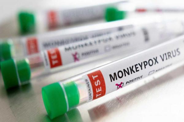 En Europa se aprobó una vacuna para combatir la viruela del mono