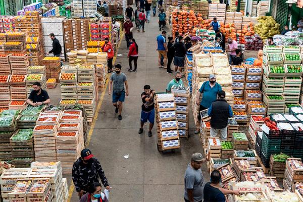 Mayoristas del Mercado Central bajan un 20% los precios de frutas y verduras: qué alimentos y a qué precio