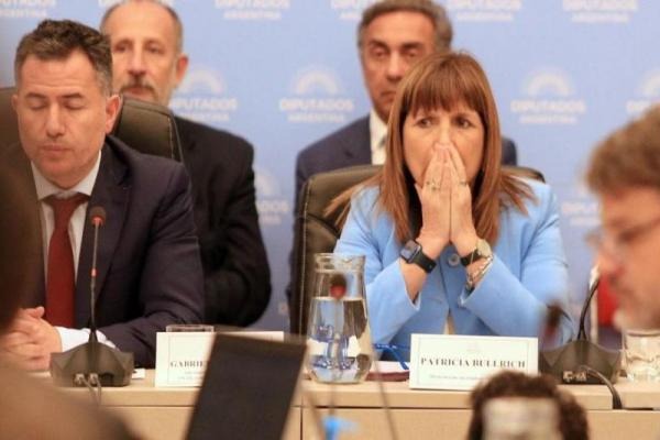 La Justicia Habilitó La Feria Para Debatir La Constitucionalidad Del ...