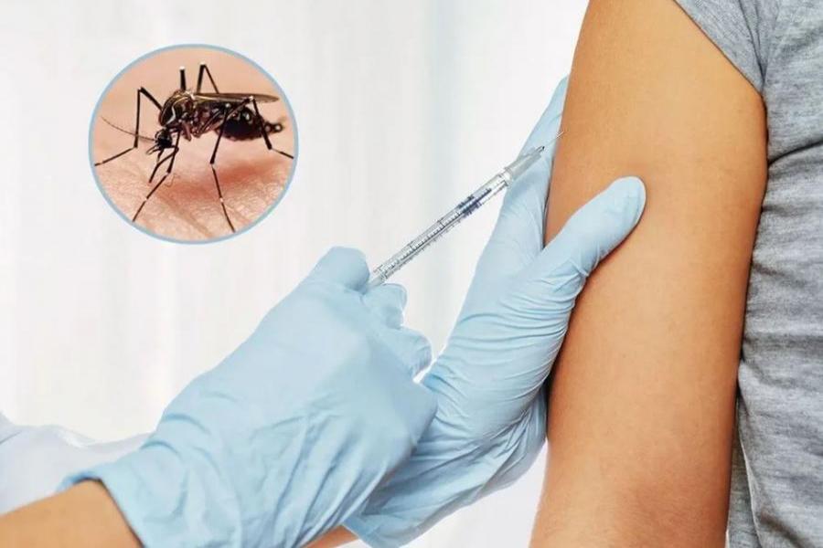 Dengue: mientras el Gobierno sigue negando la vacuna, qué obras sociales reconocen descuentos