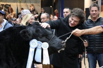 A una semana del atentado contra Pino, Javier Milei visitará mañana a La Rural 