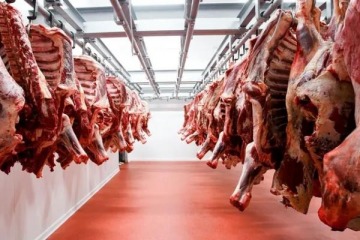 Por la caída del consumo, el precio de la carne vacuna bajó 16% en términos reales