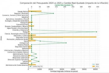 Área por área: quiénes son los ganadores y perdedores del Presupuesto 2025