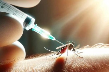 Dengue: la Ciudad empieza con las inscripciones para aplicar la vacuna