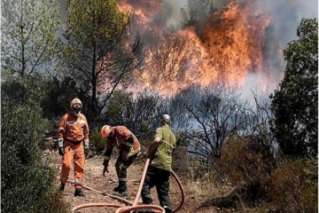 El gobierno de Córdoba declaró el desastre agropecuario por incendios