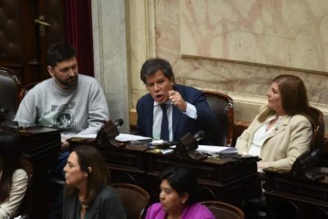 Se rompió la UCR en Diputados: el sector de Manes y Lousteau armará un espacio propio con 12 integrantes 