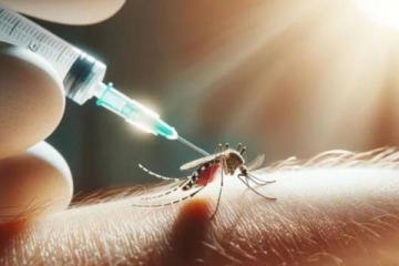 Dengue en Argentina: primeros casos autóctonos 2024 en el AMBA, Mendoza, Córdoba y Tucumán