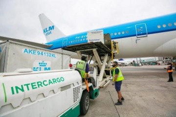 Luego del despido de trabajadores de Intercargo, el Gobierno anunció la desregulación del servicio de rampas