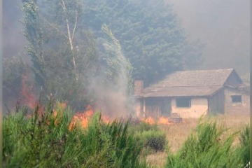 Torres responsabilizó a la RAM por los incendios en Epuyén y otras zonas de Chubut