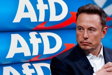 Qué vínculos tiene Elon Musk con el partido neonazi alemán