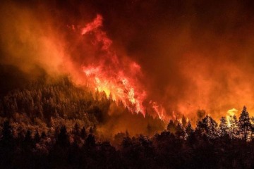 Incendios en el Parque Nacional Nahuel Huapi: más de 18 mil hectáreas arrasadas por el fuego