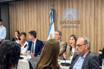 Ficha Limpia: el oficialismo consiguió dictamen del proyecto, pero la oposición dialoguista exige cambios