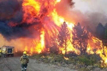 "Se quema todo, estamos en caos total": la desesperación de Pogliano ante el avance descontrolado del fuego