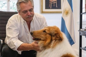 Foto de Murió Dylan, el perro que acompañó a Alberto Fernández en su presidencia