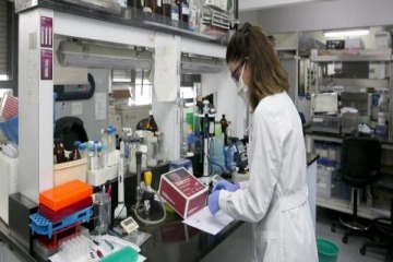 Foto de El Gobierno cancela líneas de financiamiento científicas y avanza con la motosierra en el sector