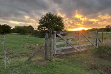Foto de El Consejo de Mayo propuso liberar la compra de Tierras para extranjeros y eliminar la restricción tras incendios