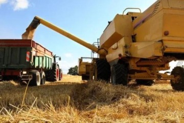 Foto de Récord de trigo, impacto acotado: más cosecha, pero sin el alivio de dólares esperado