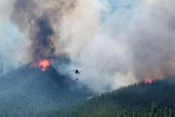 Foto de Denuncian que Milei “desfinanció” el Servicio Nacional del Manejo del Fuego