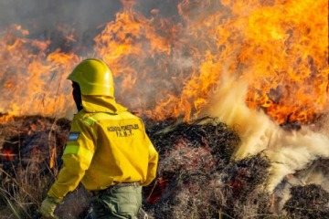 Foto de En medio de los incendios, brigadistas de Parques Nacionales exigieron al Gobierno de Milei un "salario digno y jubilación acorde"