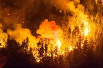 Foto de Declaran "Estado de Catástrofe" en Epuyen por el avance de los incendios