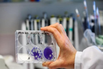 Foto de Alarmante: Mendoza confirmó la primera muerte en el país por gripe H3N2