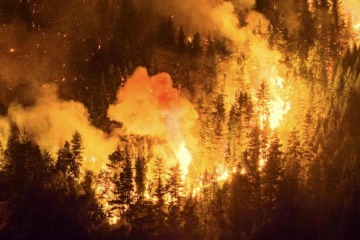 Foto de Tras la insistencia de las provincias, el Gobierno decretó la Emergencia Ígnea