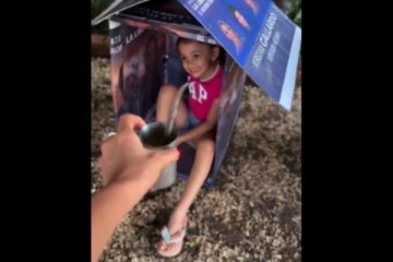 Foto de Insólito: Virginia Gallardo hizo refugios para perros hechos de carteles con su cara y desató la polémica