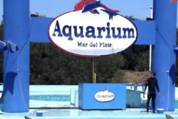 Foto de Escándalo en Mar del Plata: quiebra del Aquarium expone venta de animales y abandono bajo control judicial