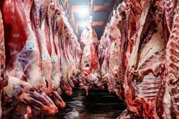 Foto de La carne subió un 6,9% en marzo y el consumo cayó a su nivel más bajo en 20 años, post crisis del 2001