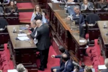 Foto de Lemoine destratò a un diputado ex combatiente de Malvinas: los detalles