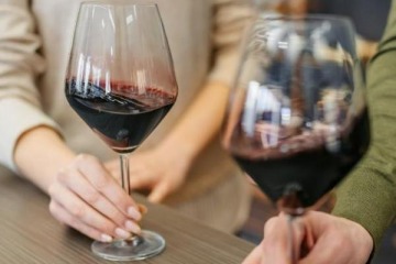 Foto de Vinos: el Gobierno desfinanció la Coviar y pone en jaque al modelo vitivinícola mientras favorece a grandes bodegas
