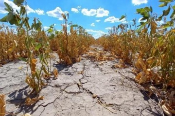 Foto de Emergencia agropecuaria: Chubut, Santa Cruz y Mendoza en alerta por sequías, heladas y granizo