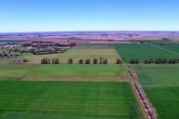 Foto de Ley de Tierras: cómo fue el recorrido parlamentario, qué bancas apoyaron en comisiones y quién es la cabeza detrás del proyecto