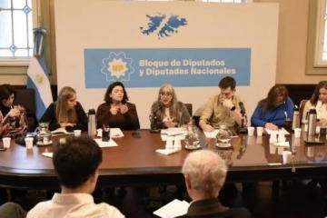 Foto de Unión por la Patria denunció un "cientificidio" y respaldó la marcha contra los despidos en el Conicet y la CNEA