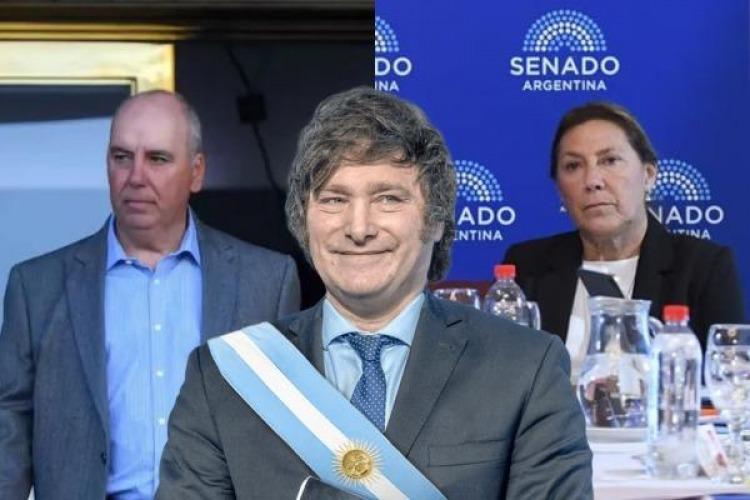 Milei hizo jueza a la esposa de Martínez de Giorgi 12 días después del fallo favorable en la causa $LIBRA