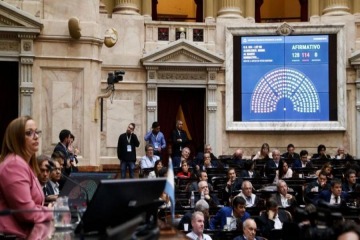 La oposición logró avanzar en Diputados con Discapacidad y morosidad: cuándo se tratarán los proyectos