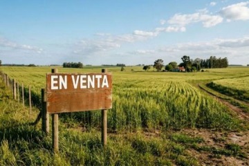 Foto de Ley de Tierras: qué vías tiene la oposición para revertir la derogación de la norma tras el fallo de la Corte