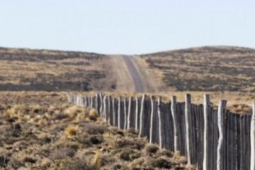 Foto de La Pastoral Social advirtió por la venta de tierras a extranjeros tras el fallo de la Corte