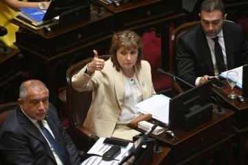 Foto de Senado: el oficialismo obtuvo dictamen para reformar la Ley de Salud Mental y busca debatirla la próxima semana